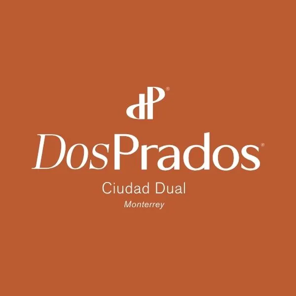 Desarrollador